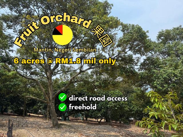 Mantin Seremban Fruit Orchard (ChemNang+ Durian) Agriculture Land Sale 1