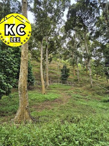 4.7 Acres Old Durian Farm For Sale | Lenggong,Perak 1