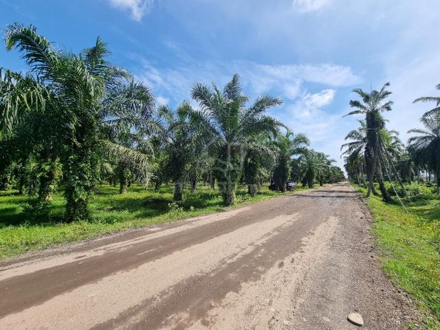 Zoning Industrial Agricultural Land For SALE,Location More Convenient 3