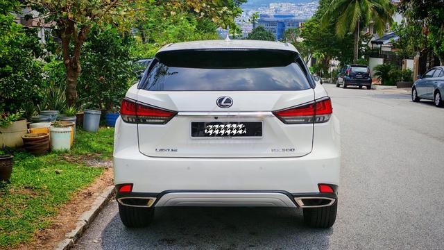 2020 Lexus RX300 2.0 LUXURY (A) 40k+ Mileage only! - 4