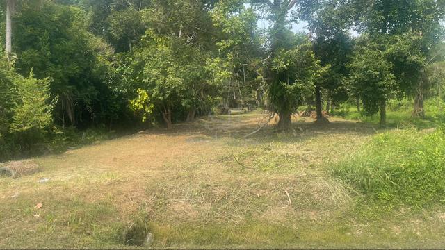 Tanah 1.7 ekar Tepi jalan Muar 1