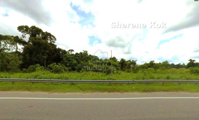L0109 Agricultural Land Stephen Yong Jalan Datuk Wee Boon Ping 1