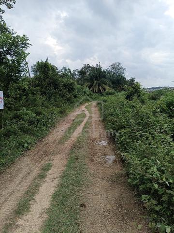Tanah Pertanian Di Dengkil Untuk Dijual 1