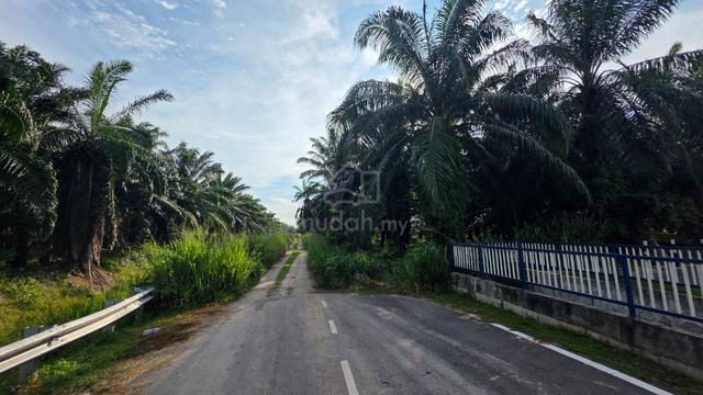 Teluk Panglima Garang Agriculture Land Residential Zoning For Sale 1