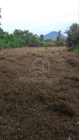Tanah Pertanian, Padang Terap Kedah 5