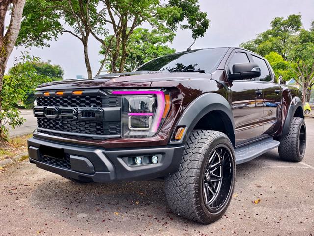 Ford RAPTOR F-150 TURBO 3.2 (A) - 3