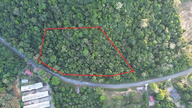 (TERMURAH! BERSEBELAHAN JALAN!) Tanah Pertanian, Bukit Petai, Jitra 1