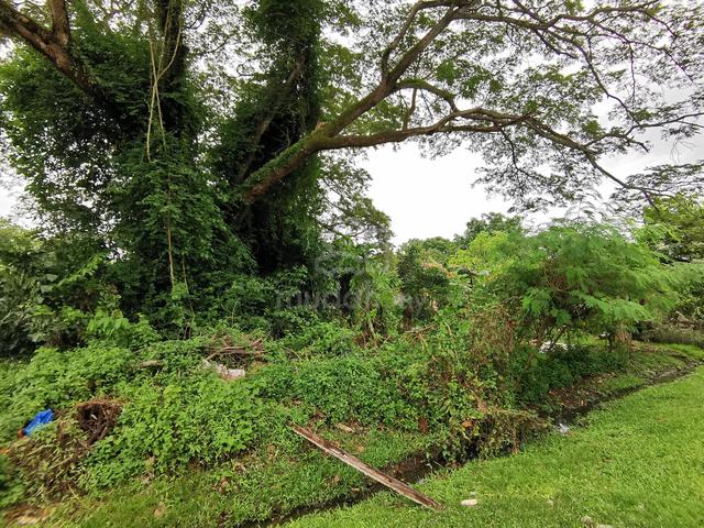 FREEHOLD NON BUMI Vacant Land Residential Zoning Behind KFC Limbong 1
