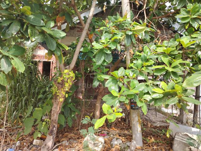 Tapak Rumah PAKR Sg Jan Jerantutq 1