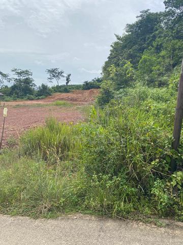 kebun untuk dijual 1