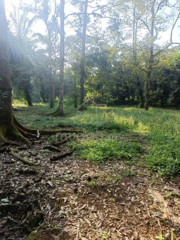 Batu Pahat Agricultural Land For Sale 1