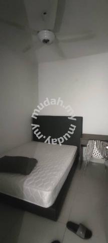 DK Senza 2