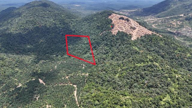 Tanah Kebun Mukim Ulu Sungai Sedili 10.28 Ekar [MURAH] 1