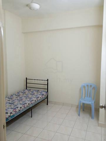 PRIMA SETAPAK condominium room to let 1