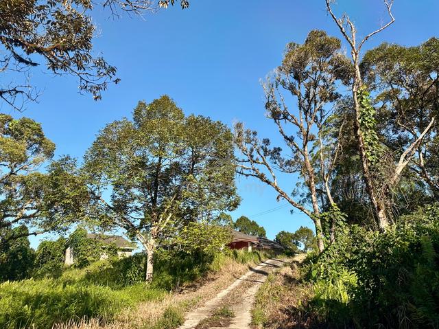 Sejijak Hilly Land with Detached House For Sale 1