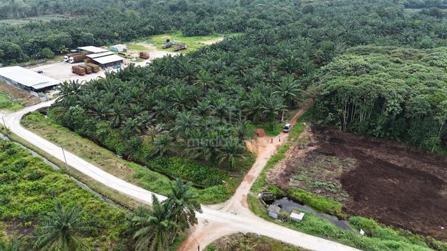 Freehold Int'l Lot Oil Palm Land Kg Sungai Burong, Pekan Nanas Pontian 2