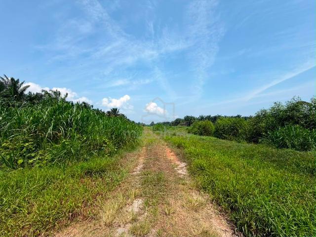 Pontian Sanglang Benut Near Main Road Agricultural Land For Sale 1