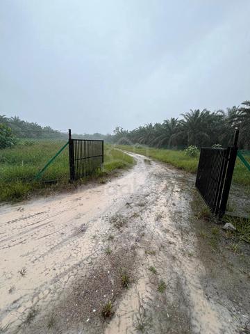 2.28 Ekar Tanah Dusun RTB Air Putih (Jln kg Dew) Taiping, Perak 2
