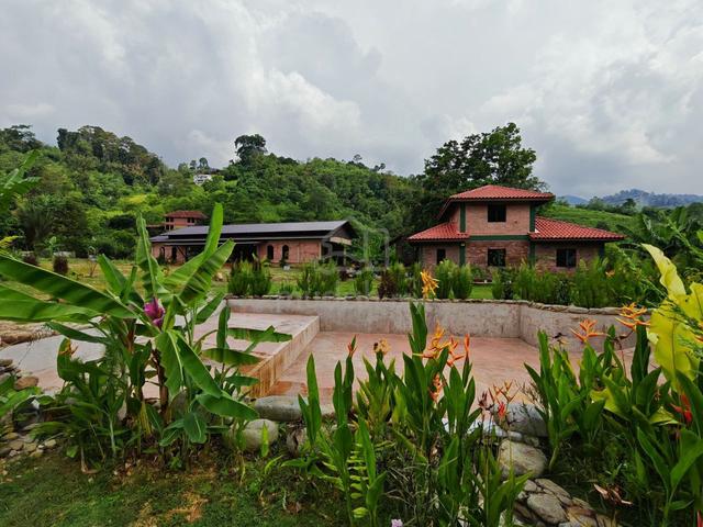 LAND WITH VILLA CAMPSITE ‼️ Janda Baik, Bentong 1