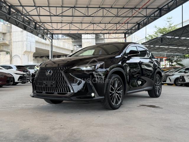 2022 Lexus NX250 2.5 LUXURY (A) - 1