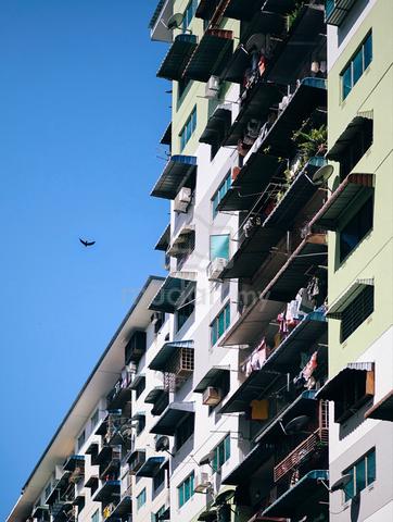 Rifle Range Flats 1