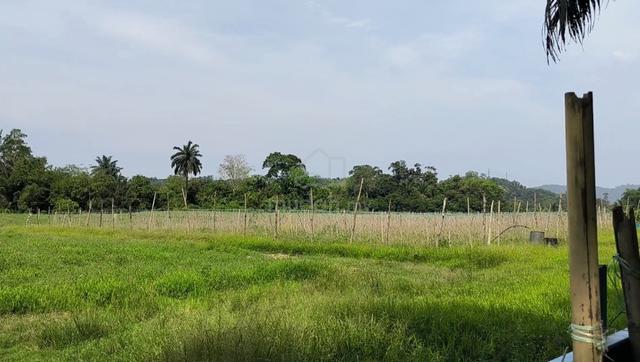 Batang Kali, Hulu Selangor - Near MIEL Industrial Estate 1