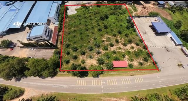 [TEPI JALAN]Kebun sawit 3 ekar Jasin Untuk Dijual 1