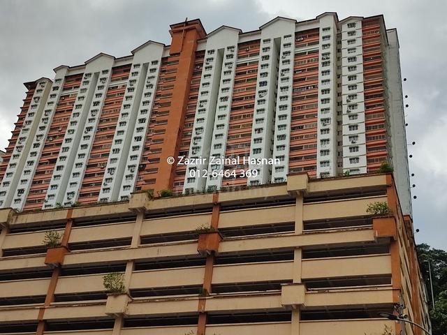 Flora Damansara 1