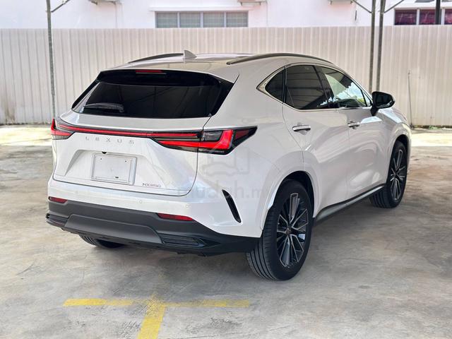 2023 Lexus NX 250 2.5 LUXURY (A) - 2