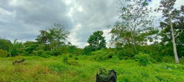 2.5 acres Durian Farm next to factory Kangkar Pulai 1