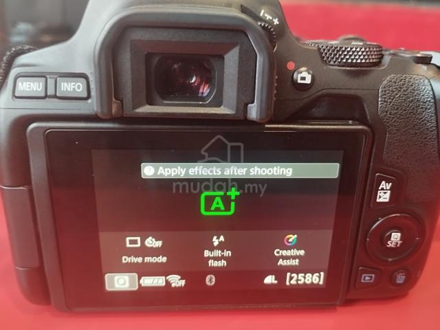 Canon EOS 250D DSLR + 18–55mm Kit Lens + 50mm STM  - photo 4 of 6