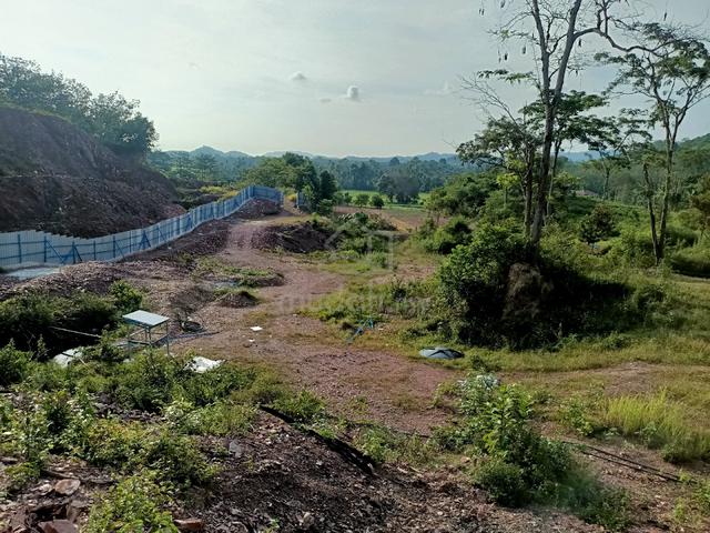Dusun durian,petai,cempedak yg cantik 1
