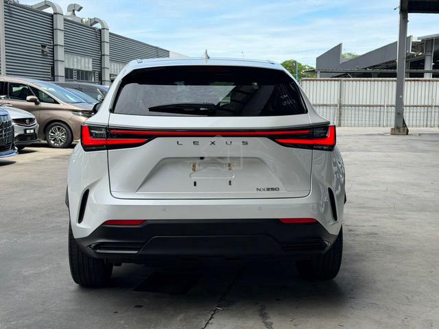 2023 Lexus NX 250 2.5 LUXURY (A) - 3