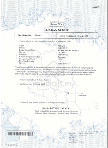 Tanah 100 ekar untuk dijual 1