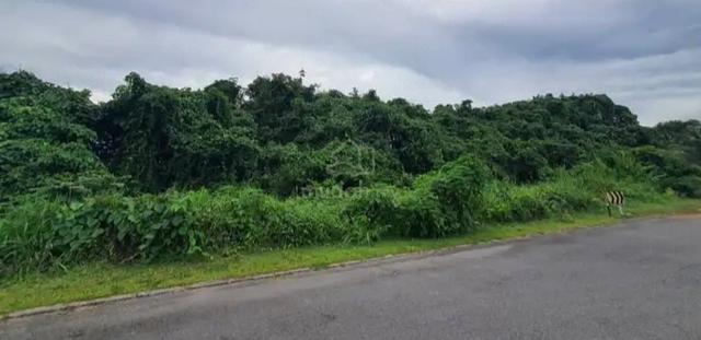 Matang 9th Mile Agricultural Land For Sale 1