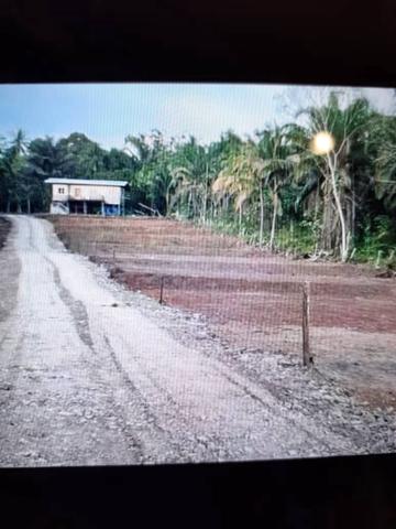 Sabah Tawau Residential Freehold Land For Sale 1