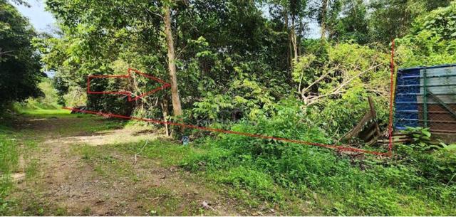 Industrial Land For Sale-Bedong 1