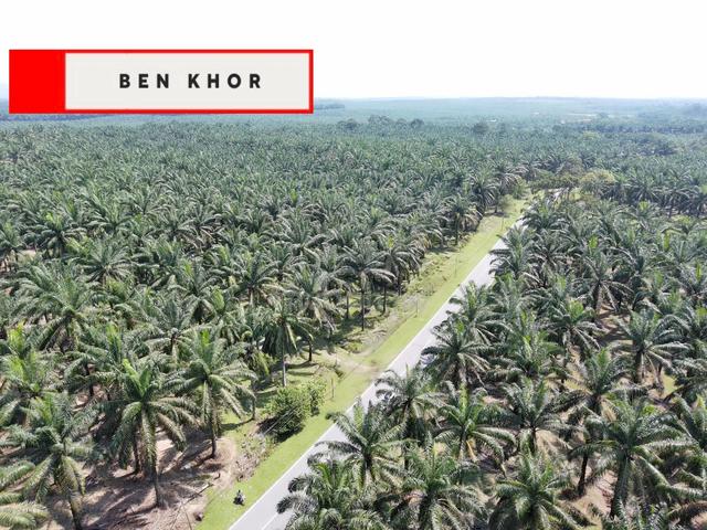 10.379 Acres | Mainroad Land | Agricultural Land | Selama |PERAK 1