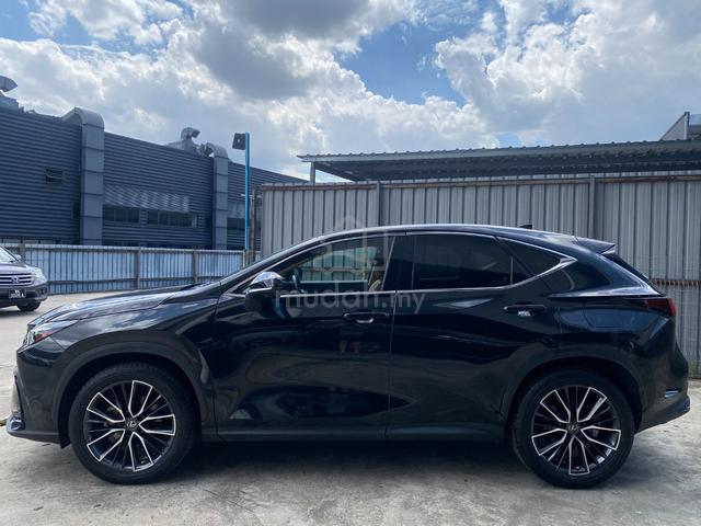 2023 Lexus NX250 VERSION L FREE TINTED - 5