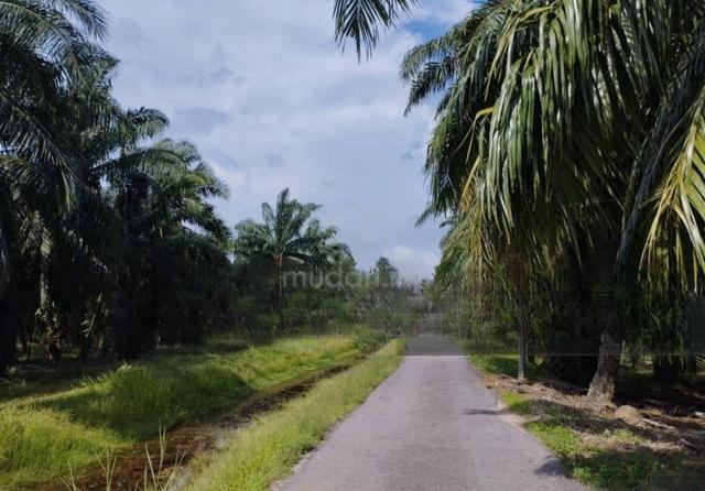 Development land facing main road of Bagan Serai 1