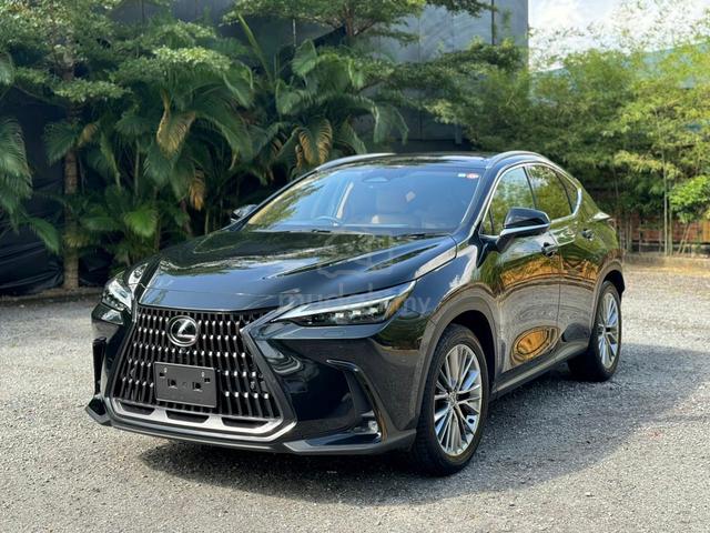2022 Lexus NX 250 2.5 VERSION L 5A 5kKM NX250 - 3
