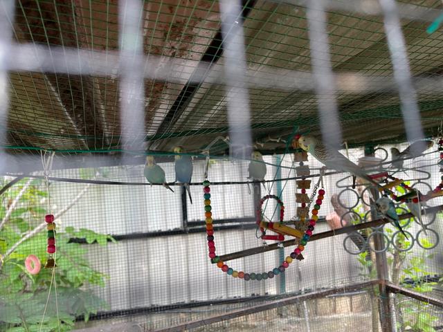 Carousel Image