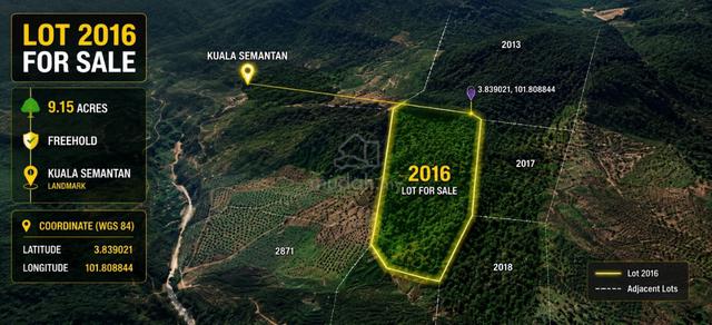 Pahang Raub Freehold Durian Orchard Land for sale 1