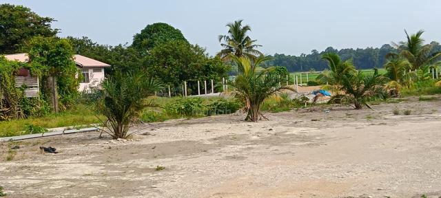 Tanah luas Murah pulau jawa pekan 1