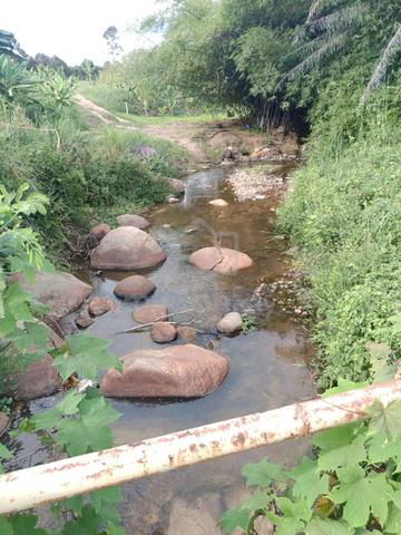 Lenggong Kuala Kenering Durian Land 4