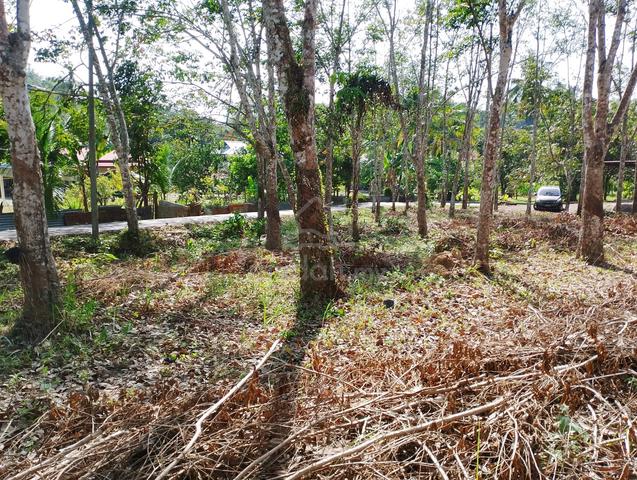 Kebun Getah di Baling Kedah| 3.4 ekar | Freehold Malay Reserve 1