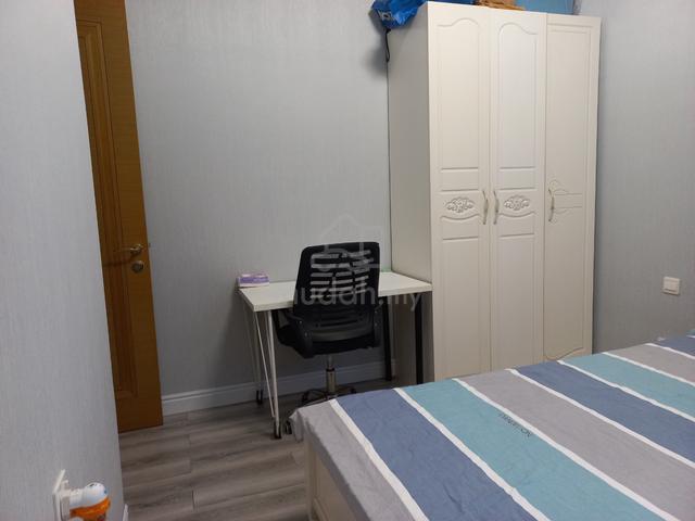 All Race Room Rent R&F Princess cove Low Depo 4