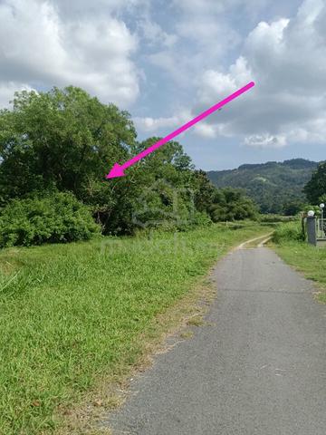 Balik Pulau Flat Land 1