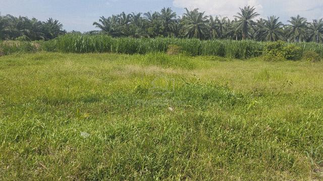 Lot Tanah Untuk Dijual - Pantai Remis, Jeram Selangor 1