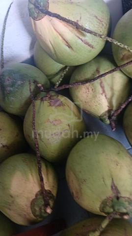 Coconut Pandan - photo 3 of 6